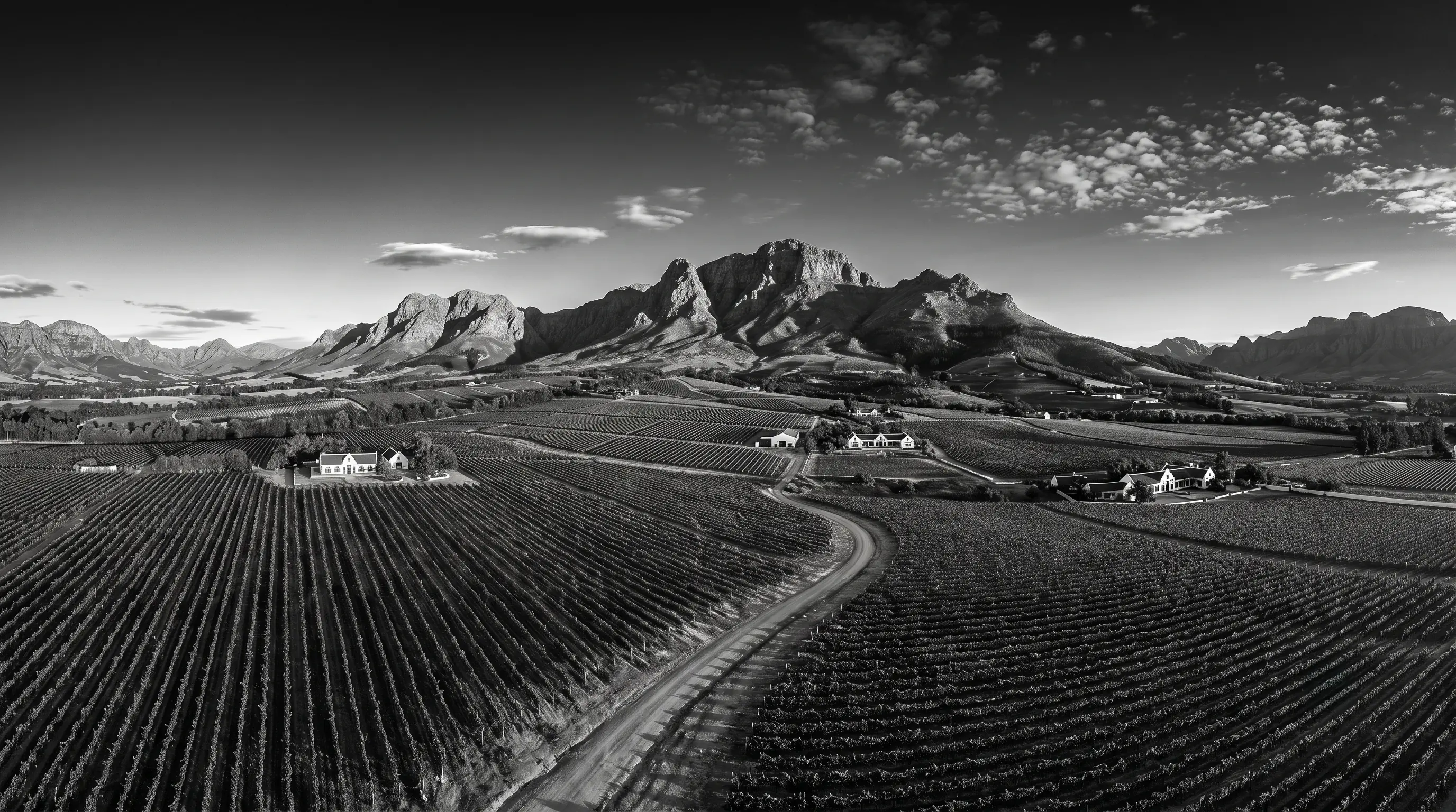 Farmland and vineyards below the mountains near Stellenbosch